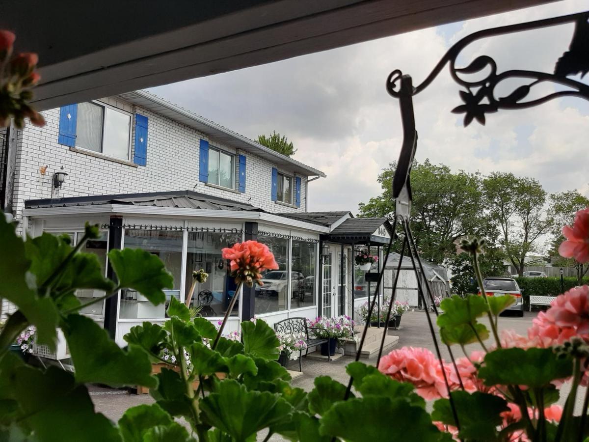 Blue Moon Motel Niagara Falls Luaran gambar